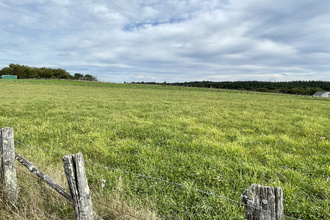  terrain palazinges 19190