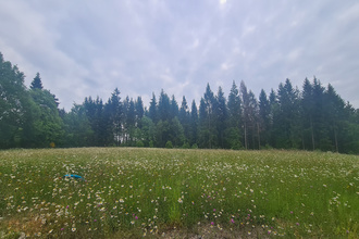  terrain palazinges 19190