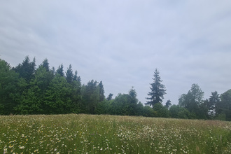  terrain palazinges 19190