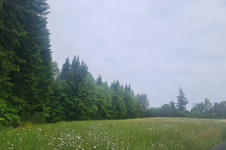  terrain palazinges 19190