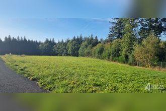  terrain palazinges 19190