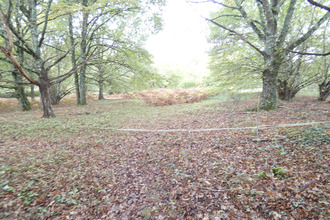  terrain panazol 87350