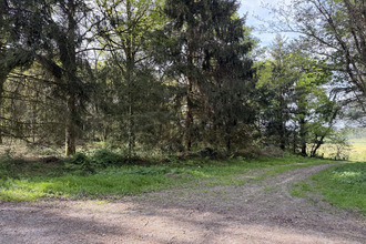  terrain pance 35320