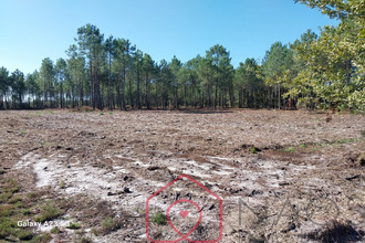  terrain parentis-en-born 40160