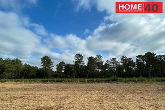  terrain parentis-en-born 40160