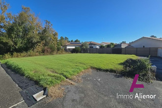  terrain parentis-en-born 40160