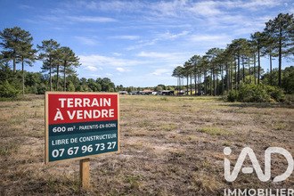  terrain parentis-en-born 40160