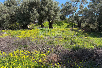  terrain patrimonio 20253