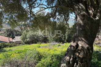  terrain patrimonio 20253