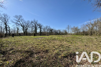  terrain paulin 24590