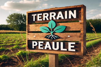  terrain peaule 56130