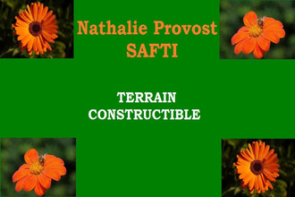  terrain penestin 56760