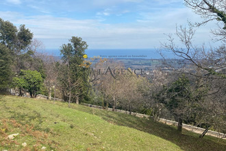  terrain penta-di-casinca 20213