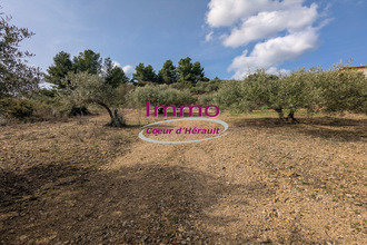  terrain peret 34800