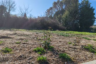  terrain pernes-les-fontaines 84210