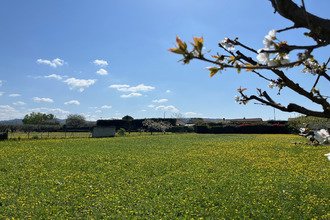  terrain pernes-les-fontaines 84210