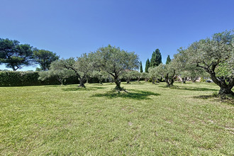  terrain pernes-les-fontaines 84210