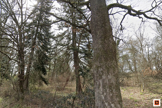  terrain peschadoires 63920