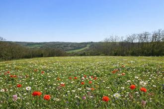  terrain pessan 32550