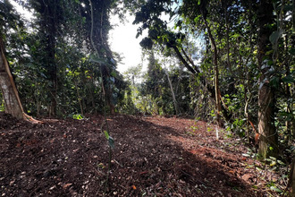  terrain petit-bg 97170