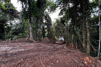  terrain petit-bg 97170