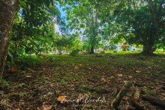  terrain petit-bg 97170