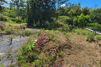  terrain petite-ile 97429
