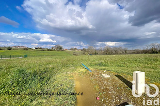  terrain philondenx 40320