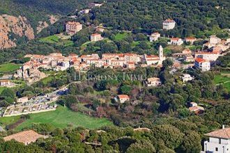  terrain piana 20115