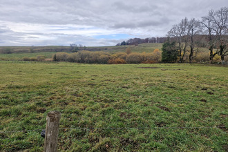  terrain picherande 63113