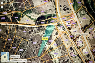  terrain piedigriggio 20218
