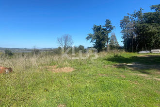  terrain pietroso 20242