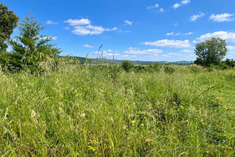  terrain pietroso 20242