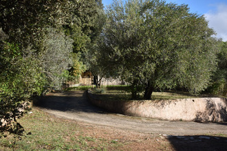  terrain pignans 83790