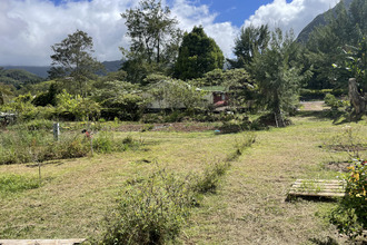  terrain plaine-des-palmistes 97431