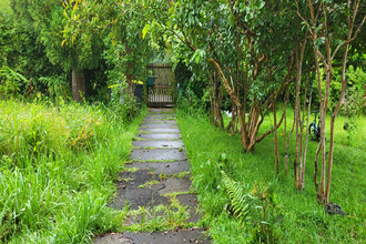  terrain plaine-des-palmistes 97431