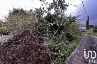  terrain plaine-des-palmistes 97431