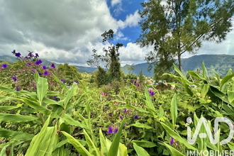  terrain plaine-des-palmistes 97431