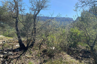  terrain plan-d-aups-ste-baume 83640