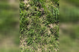  terrain plerin 22190