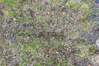  terrain plerin 22190