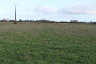  terrain pleumartin 86450