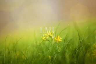  terrain ploemeur 56270