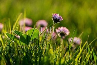  terrain ploemeur 56270