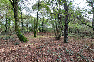  terrain plumelec 56420