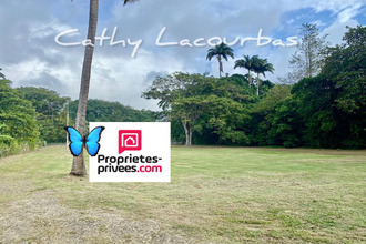  terrain pointe-noire 97116