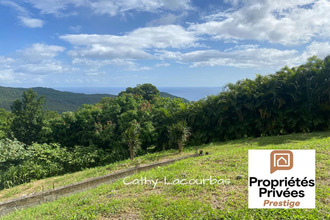  terrain pointe-noire 97116