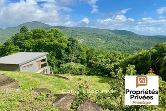  terrain pointe-noire 97116