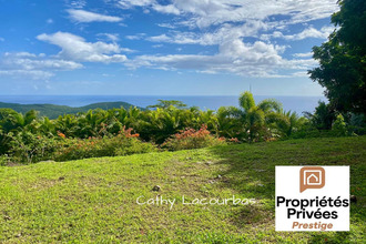  terrain pointe-noire 97116