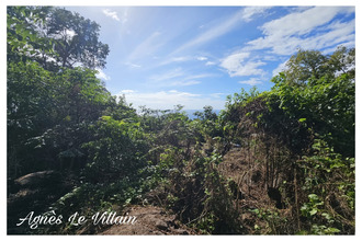  terrain pointe-noire 97116